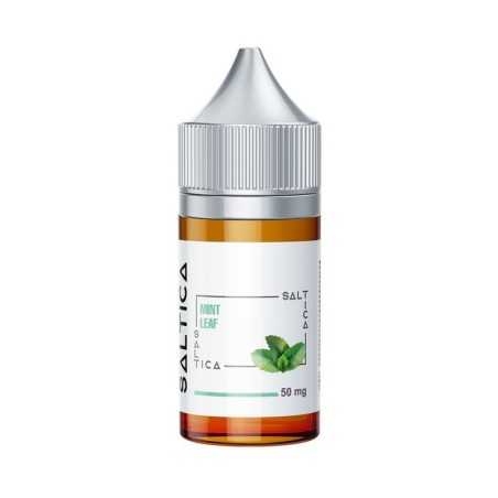 Saltica Mint Leaf