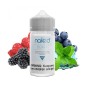 Naked Berry E-Likit 60ml